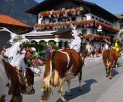 Familienurlaub Tirol Bauernhof